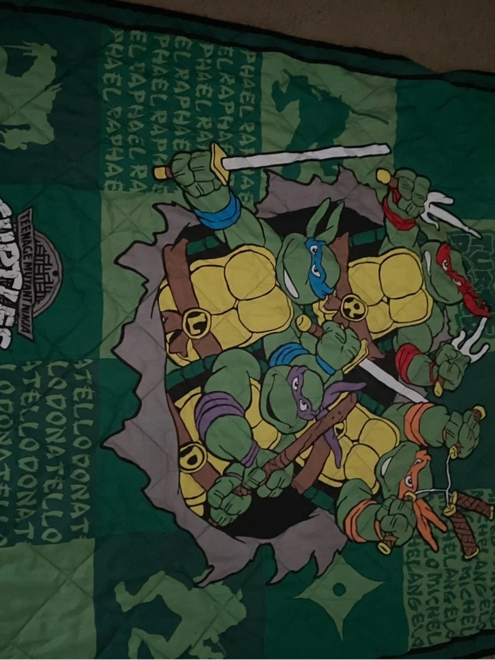 Teen Age Ninja Turtles 2015 nickelodeon